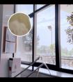驱虫斑鸠菊效果怎么样